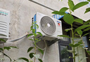 海爾（Haier）小紅花套系 凈省電1.5匹掛機臥室節(jié)能壁掛式空調(diào) KFR-35GW/E1-1家電國家補貼20%以舊換新 曬單實拍圖