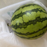 【產(chǎn)地直采】正宗北京龐各莊頭茬吊秧小西瓜1粒2kg 曬單實拍圖