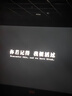 左西童裝男童外套2025新款兒童夾克街頭男孩復古工裝褲秋 綠色 150 曬單實(shí)拍圖