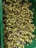 偉照業(yè)豆芽發(fā)芽盆家用自制豆芽機發(fā)豆芽花生芽專(zhuān)用盆黃豆綠豆發(fā)芽神器 【升級款】加厚加大容量一套 曬單實(shí)拍圖