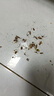 婭洛思蟑螂藥滅蟑呋蟲(chóng)胺膠餌家用廚房小強全窩端室內一窩端除蟑螂屋24枚 曬單實(shí)拍圖