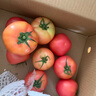 京鮮生沙瓤粉西紅柿 凈重3斤 單果100g+果菜兩吃 源頭直發(fā) 【搜生鮮館】 曬單實(shí)拍圖