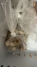 1號(hào)會(huì)員店 1號(hào)會(huì)員店 鹽田有機(jī)蝦仁 無抗生素去蝦線 2斤（66-88只） 曬單實(shí)拍圖