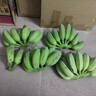 正宗廣西蘋(píng)果蕉大果香蕉5斤當(dāng)季新鮮米蕉蘋(píng)果粉蕉自然熟大芭蕉 5斤 曬單實(shí)拍圖