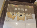 艾杰普絲圈入戶門地墊大門口進(jìn)戶門腳墊子可裁剪防滑墊進(jìn)門地毯60*90cm 曬單實(shí)拍圖