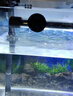 DSRAWMYT 魚(yú)缸過(guò)濾棉 水族箱袋生化棉 高透水白棉 過(guò)濾材料蛋白棉 曬單實(shí)拍圖