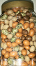 多彩豆魚(yú)皮花生米500g脆皮豆老式花生經(jīng)典80后懷舊小零食 多彩魚(yú)皮花生 【精美大罐裝】500g*2大罐 曬單實(shí)拍圖