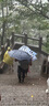 駱駝（CAMEL）戶外登山鞋男女防潑水防滑徒步鞋越野運動跑鞋F(xiàn)23A097029 曬單實拍圖