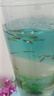 寵小俠純種孔雀魚(yú)觀(guān)賞魚(yú)好養耐活淡水小型魚(yú)熱帶魚(yú)鳳尾熱帶魚(yú)小魚(yú)苗 練手孔雀2-3cm30條（26送4備損） 曬單實(shí)拍圖