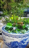 君閔景德鎮陶瓷魚(yú)缸養魚(yú)睡蓮荷花盆庭院戶(hù)外寺廟特大號青花門(mén) 源遠流長(cháng) 53x53x33cm 曬單實(shí)拍圖