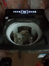 小天鵝（LittleSwan）波輪洗衣機(jī)全自動(dòng) 小烏梅輕奢版【TB10VE20D】水魔方防纏繞 10公斤 家電國(guó)家補(bǔ)貼20% 以舊換新 曬單實(shí)拍圖