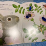 亮麗精美觸摸書(shū)-小兔比利（中英雙語(yǔ)）低幼認知繪本 幼兒?jiǎn)⒚煞抡嬗|感觸摸書(shū) 【0-2歲】 寶寶繪本  省錢(qián)卡暑假作業(yè) 一升二暑假銜接 小升初暑假銜接 曬單實(shí)拍圖