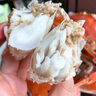 鮮活梭子蟹舟山小娘蟹特大野生海鮮水產(chǎn)海蟹白蟹母蟹公蟹螃蟹飛蟹 3斤（5-6只）鮮活打氧發(fā)貨 曬單實(shí)拍圖