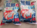 龍王恨魚(yú)餌藍鯽青春版六蟲(chóng)腥香餌料野釣專(zhuān)用鯽魚(yú)鯉魚(yú)草魚(yú)餌料魚(yú)食 首發(fā)-藍鯽青春版-六蟲(chóng)腥香【2包】 曬單實(shí)拍圖