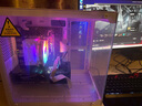 華碩全家桶RTX 5060 Ti/RTX 5060主機(jī)14600KF組裝電腦主機(jī)電競游戲主機(jī)臺式機(jī)DIY整機(jī)天選姬白色海景房 14400F+華碩RTX 5060 性價(jià)比 曬單實(shí)拍圖