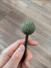 惠普普瑞護(hù)眼吸頂風(fēng)扇燈LED吊扇燈隱形扇葉遙控調(diào)光中山燈具包安裝 曬單實(shí)拍圖
