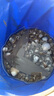 羚特趕海工具套裝沙灘挖沙玩具鐵鍬鋤頭水桶鏟子夾子耙挖土種菜園藝 曬單實拍圖