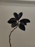 雅致1.3-1.5m黑金剛橡皮樹(shù)綠植客廳好養室內大型盆栽擺件圓球源頭直發(fā) 曬單實(shí)拍圖