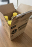 滴露（Dettol）洗衣機(jī)清洗劑250ml*6瓶金裝版檸檬滾筒洗衣機(jī)清潔劑強(qiáng)力除垢除菌 曬單實(shí)拍圖