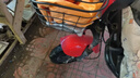 正新CST 60/100-10 (14X2.50/2.50-10)  CDC-01 鯊魚(yú)鰭 電動(dòng)車(chē)真空胎 曬單實(shí)拍圖
