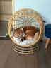 愛肯拿（ACANA）狗糧 鴨肉梨成犬幼犬 低敏去淚痕 全價(jià)通用原裝進(jìn)口糧2kg效期26/7 曬單實(shí)拍圖