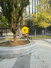 喜德盛兒童自行車(chē)小王子變速車(chē)7速青少年學(xué)生通勤運動(dòng)騎行單車(chē)藍銀色 曬單實(shí)拍圖