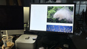 藝卓（EIZO）CS2400S 24英寸顯示器專(zhuān)業(yè)色彩繪畫(huà)插畫(huà)設計修圖廣色域 黑色 黑色 曬單實(shí)拍圖