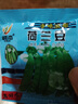 脆荷蘭豆種子菜豌豆雙花雙夾高產(chǎn)耐寒農家自種秋冬季豆角菜種子 荷蘭豆種子 荷蘭豆種子1包 曬單實(shí)拍圖