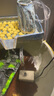 森森（SUNSUN）耀藍魚缸水泵小型潛水泵過濾泵抽水泵YQP-500 6W 曬單實拍圖