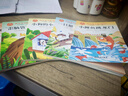 【老師推薦】全5冊二年級上冊必讀課外書(shū) 小鯉魚(yú)跳龍門(mén)注音版二上快樂(lè )讀書(shū)吧正版 2上孤獨的小螃蟹歪腦袋木頭樁人教版語(yǔ)文課外閱讀書(shū)籍 【全5冊】二上必讀課外書(shū) 二年級必讀課外書(shū) 曬單實(shí)拍圖
