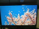 泰坦軍團27英寸QD-MiniLED 4K 160Hz雙模320Hz DyDs技術(shù) Type-C 65W 內(nèi)置音箱電競顯示器P275MV PLUS增強版 曬單實拍圖