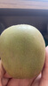 佳沛（zespri）新西蘭  陽(yáng)光金奇異果25-27粒原箱特大果單果約122-146g  獼猴桃 曬單實(shí)拍圖