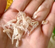 寶寶饞了高鈣蝦皮食材干貨兒童無(wú)添加鹽新鮮淡干蝦皮小蝦米海產(chǎn)享寶寶食譜 淡干蝦皮70g 曬單實(shí)拍圖
