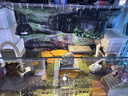 REPTIZOO瑞皮爬寵燈罩雙加熱UVA烏龜uvb陶瓷爬蟲保溫 【雙燈罩】 曬單實拍圖