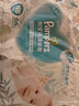 幫寶適（Pampers）清新幫尿不濕嬰兒紙尿褲拉拉褲 NB66片【紙尿褲】 曬單實(shí)拍圖
