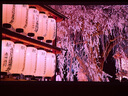 麗虹（ IHONG）地拉幕布投影幕布電動(dòng)地升幕布玻纖金屬菲涅爾抗光免安裝家用可移動(dòng)升降地拉式投影幕布 4K白塑地拉幕-手動(dòng) 100英寸（全面屏） 曬單實(shí)拍圖