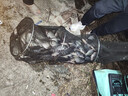 船長(cháng)漂蘆魂K21綜合混養偷驢高靈敏鯽魚(yú)羅非鯉魚(yú) K21—6號（吃鉛2.39克） 曬單實(shí)拍圖