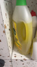滴露（Dettol）地板清潔劑無水印2L裝地板清洗劑去污殺菌地板瓷磚清潔劑拖地專用 曬單實拍圖