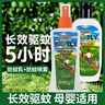 FORESTWALK森林索耶驅(qū)蚊噴霧避蚊胺10%防蚊蟲叮驅(qū)蚊水液神器基孔肯雅熱100ml 曬單實拍圖
