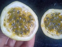 鮮青錄廣西黃金百香果欽蜜9號(hào)新鮮水果黃色白香果西番蓮雞蛋果 凈重1斤（單果60-70g） 曬單實(shí)拍圖