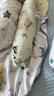 莫爾兔決明子糖果枕嬰兒側睡擋枕安撫蕎麥殼枕頭新生兒寶寶哄睡摟睡神器 森語(yǔ)熊貓 【5斤決明子填充】 10A抗菌丨母嬰專(zhuān)用丨輔助睡眠 曬單實(shí)拍圖