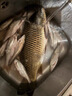 川澤線組主線全套進口魚線成品線組套裝釣鯽魚競技線組正品大物線組 4.5m【4卷裝】+收納盒剪刀 1.5號 曬單實拍圖