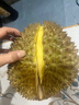 【保4房肉】A級進(jìn)口金枕鮮榴蓮1粒2-2.5kg(M) 曬單實(shí)拍圖