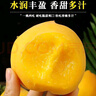 山東蒙陰陸地黃油桃芒果油桃新鮮水果脆甜多汁蜜桃現摘鮮桃子田園 芒果油桃【凈重5斤】單果110g+ 曬單實(shí)拍圖