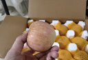 京鮮生山東煙臺紅富士蘋果 凈重9斤 單果75-80mm生鮮水果 源頭直發(fā) 包郵 曬單實拍圖