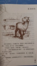 夏洛的網(wǎng) 兒童文學(xué) 童書(shū) 任溶溶譯 三年級7-10歲推薦課外閱讀書(shū)目 暑假作業(yè) 一升二暑假銜接 小升初暑假銜接 曬單實(shí)拍圖
