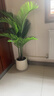 黛暢仿真綠植高端輕奢散尾葵落地盆栽假花樹(shù)室內客廳仿生植物裝飾擺件 1.2米散尾葵優(yōu)質(zhì)款（店鋪熱賣(mài)不含盆/送椰絲吊牌） 曬單實(shí)拍圖