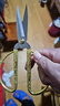 張小泉剪刀廚房剪家用不銹鋼尖頭剪子食物剪裁縫剪線(xiàn)頭剪皮革剪剪紙裁布 【金色】大號 龍鳳合金剪 曬單實(shí)拍圖