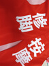 保羅嵐芝志愿者馬甲定制印logo工作服義工黨員教育培訓(xùn)招生紅背心超市馬夾 【001復(fù)合馬甲】紅色 XL 【大量現(xiàn)貨】 曬單實(shí)拍圖