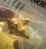 周六福招財貓黃金轉運珠手繩生日禮物定價(jià)約1.09g躺贏(yíng)貓，A1612911 曬單實(shí)拍圖